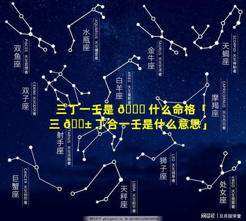 三丁一壬是 🐋 什么命格「三 🐱 丁合一壬是什么意思」